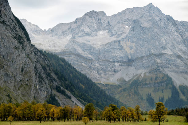 istock Bergahorn im Karwendel 2013145173