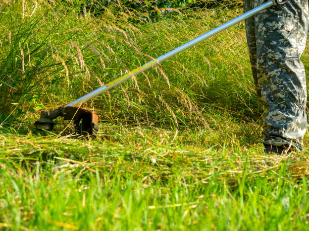 istock A man dressed in work clothes using a gasoline mower cuts long grass. Summer. rural area, maintenance of the territory 2013147952