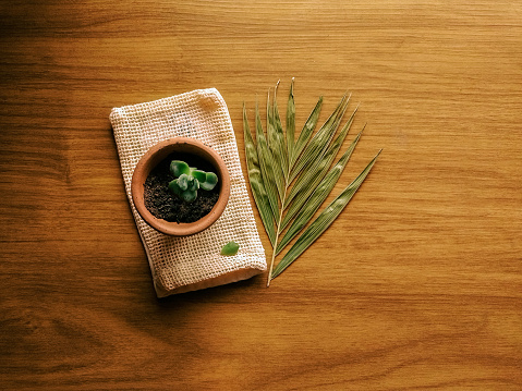 Frame with a plant on wooden background.  Flat lay, top view.