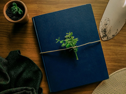 Composition with a old book, a plant, and gardening tools on wooden background. Landscaper mockup. Flat lay, top view.