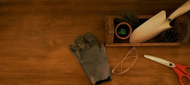 Gardening concept. Composition with gardening gloves, safety glasses, scissors, and gardener's trowel on wooden background.