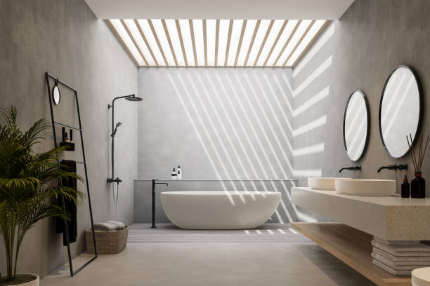 istock Minimal style loft bathroom with natural light from a large skylight 3d render 2013213355