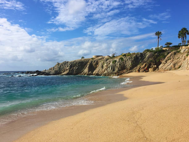 istock Sandy ocean shore near rocks and palm trees 2013222197