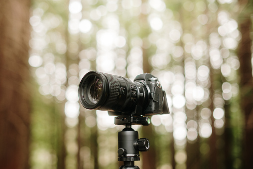 A DSLR camera on a tripod in a forest