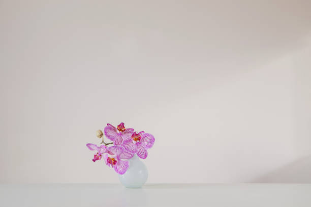 istock purple orchid in glass vase on white background 2013277930