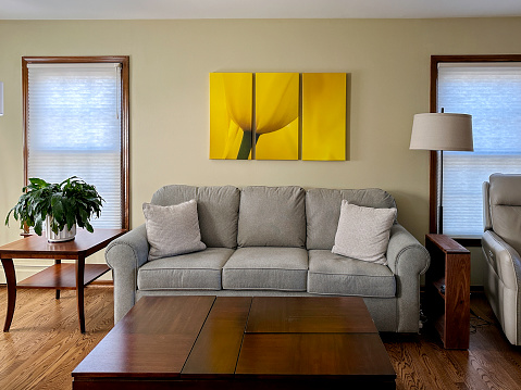 Contemporary living room with canvas prints on wall