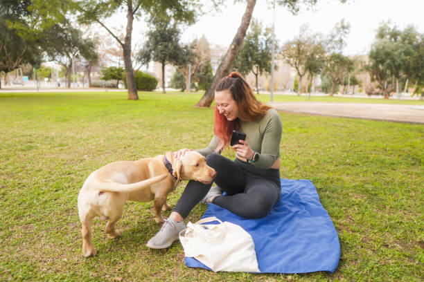 istock Woman laughing with her dog 2013304056