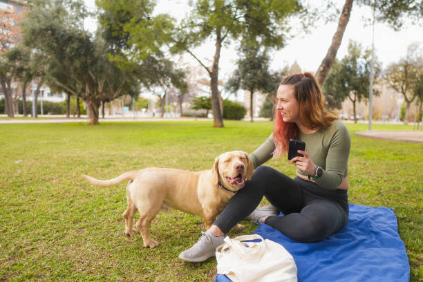 istock Smiling woman petting her dog 2013305089