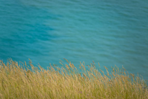 Day at the Sea. 