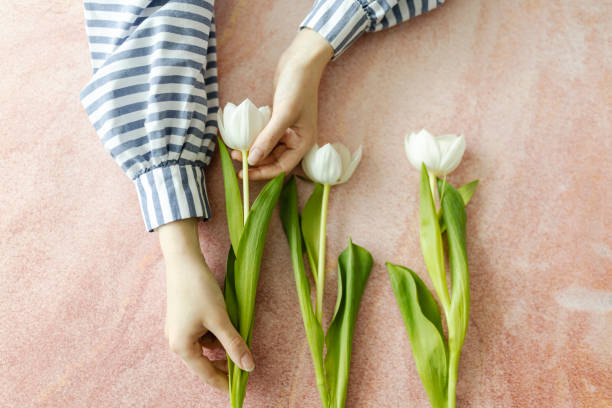 Photo of human hands creating tulip bouquet