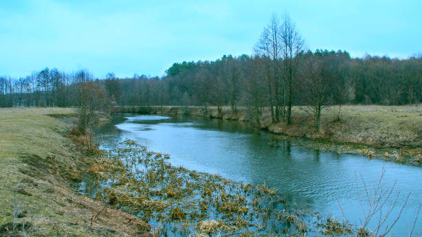 landscape with river in autumn. trees are reflected in water of river - 18638 fotografías e imágenes de stock