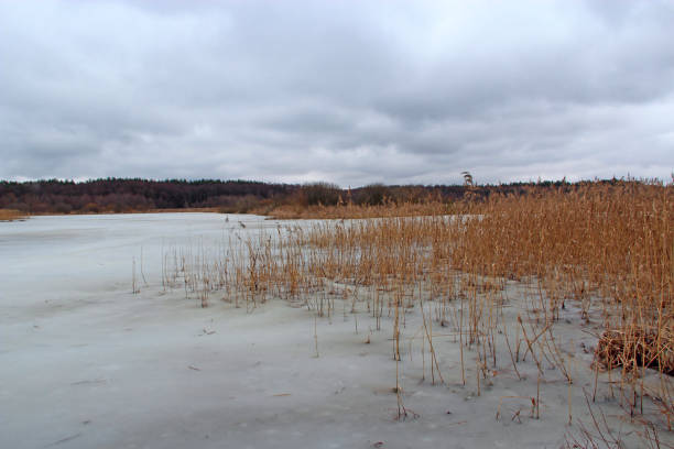 landscape with winter river. the sketch growing in river. sketch on river ice - 18639 imagens e fotografias de stock