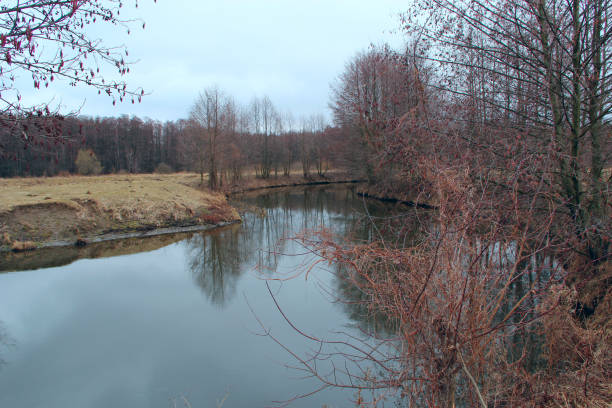 landscape with river in autumn. trees are reflected in water of river - 18640 fotografías e imágenes de stock