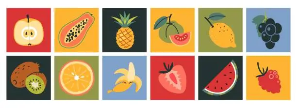 Vector illustration of Set of various exotic tropical fruits, cartoon style. Square colorful icons. Funny bright stickers Trendy modern vector illustration, hand drawn, flat design