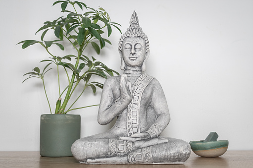 Decorative statuette of Buddha in meditative position on a wooden table, next to a pot with plants and a small bowl containing a green stone. White background