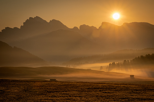 Glorious Morning in Alpe Di Siusi, South Tyrol, Dolomites, Italy