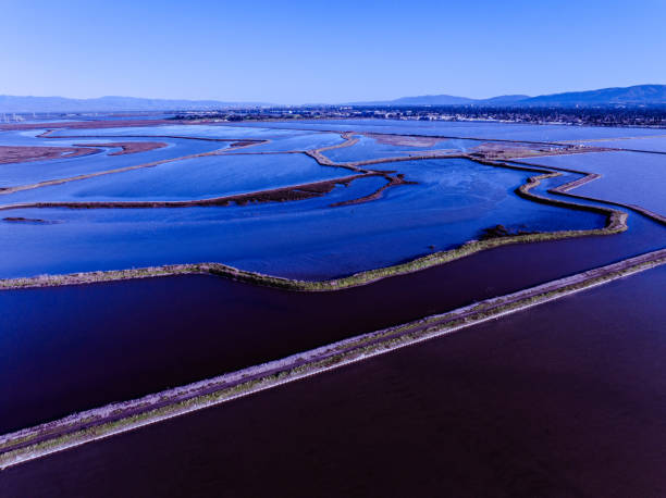 istock Bay Area February 2024 2013375943