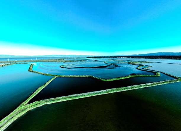 istock Bay Area February 2024 2013376476