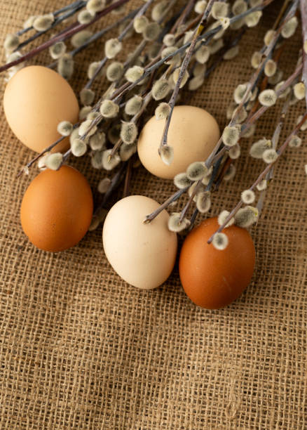 istock chicken eggs are beige and brown, a branch of willow seals on a burlap background 2013403652