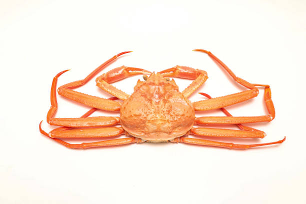 istock Boiled snow crab isolated on a white background. 2013430433