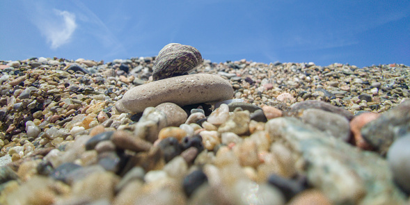 Small mediterranean sea snail, known as Steromphala divaricata. Placed on pea gravel beach