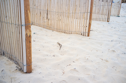 Sand barriers placed to protect coastal ecosystems