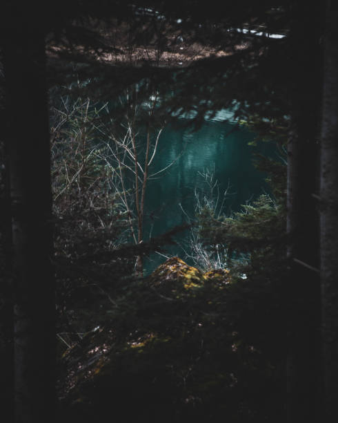 istock Blausee (Kandersteg) - blue lake in Switzerland, mystical atmosphere, fog and strees 2013461632