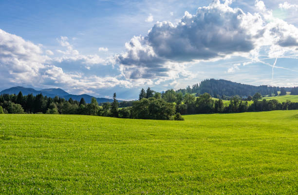 istock Green landscape in Allgovia, Germany 2013558676