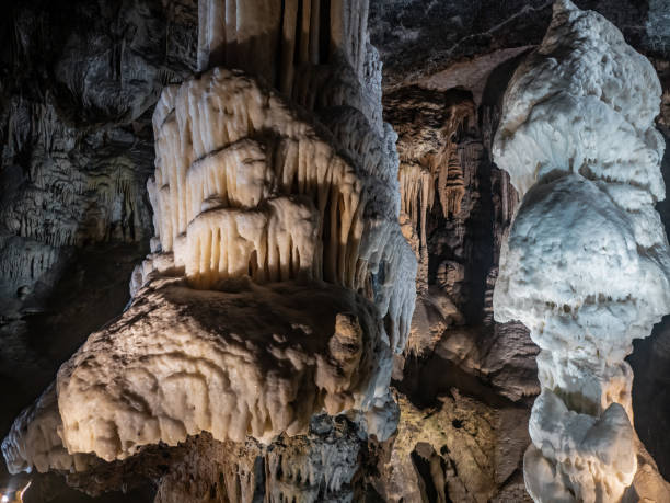 istock The cave Postojna Cave in Slovenia 2013559198