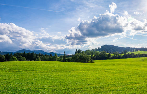 istock Green landscape in Allgovia, Germany 2013582977