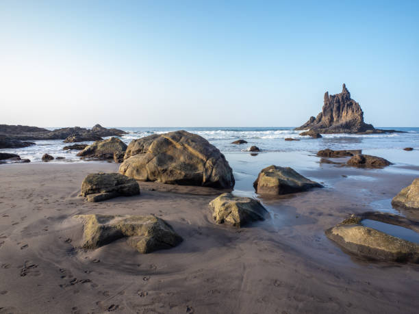 istock Beach Playa de Benijo in Tenerife 2013583478