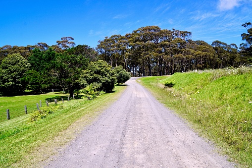 Country Road! Southern New South Wales