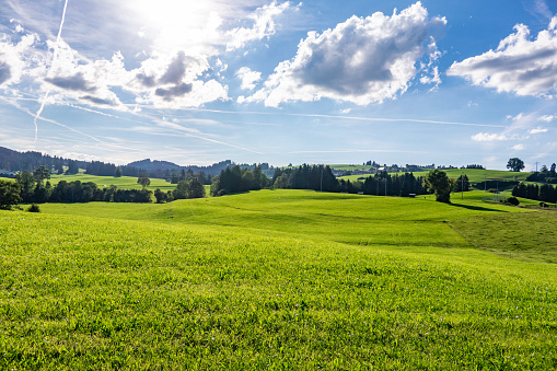 Green landscape in Allgovia, Germany