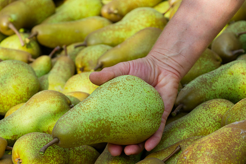 Close up of pears on market stand