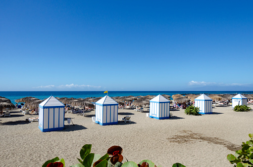 Tenerife's dramatic south coastline