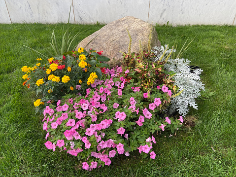 Flowers and rock garden