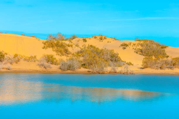 Maspalomas Duna - Desert in Gran Canaria Canary Islands Spain