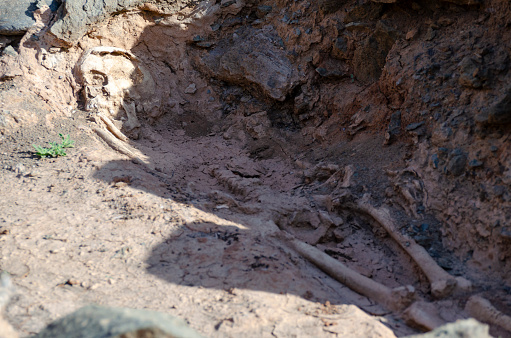 An archaeological site and human bones on the island of Gran Canaria