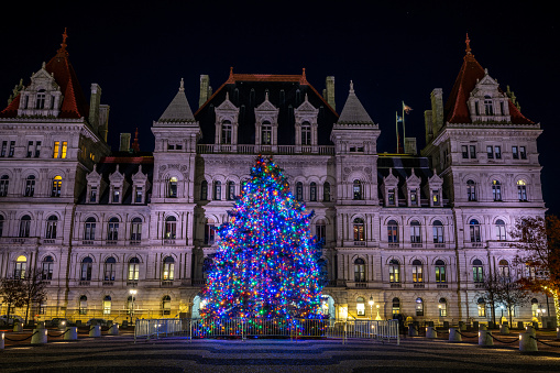 The United States Capitol Christmas Tree, otherwise known as \