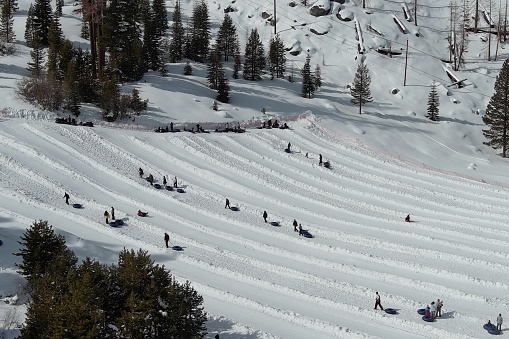 A small crowd enjoys snow tubing in the Sierra Nevada mountains.