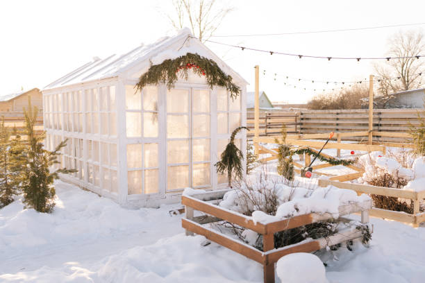istock Cozy summer house snow-covered, windows frozen and covered in natural patterns on background of sunlight during cozy winter day, no people. 2013809091