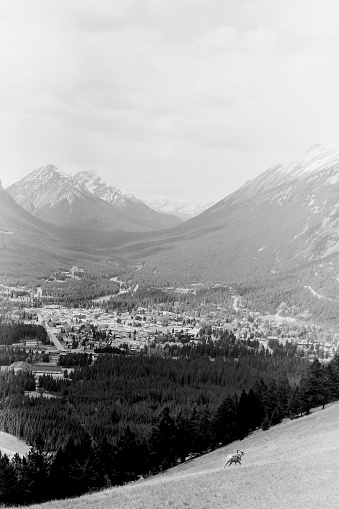 Banff, Alberta. The image is from old black and white film in 1975.