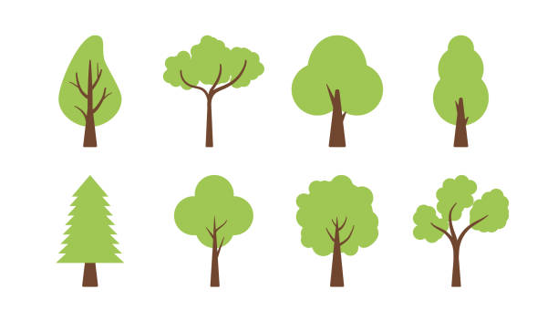 ilustrações, clipart, desenhos animados e ícones de árvore vetorial ícone plano simples. conjunto de silhuetas do ícone da floresta da árvore dos desenhos animados, folha de ramo verde. - tree branch tree trunk leaf