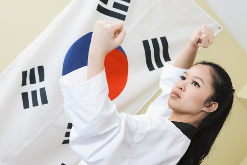 Fist of South Korea flag painted, multi purpose concept - isolated on white background