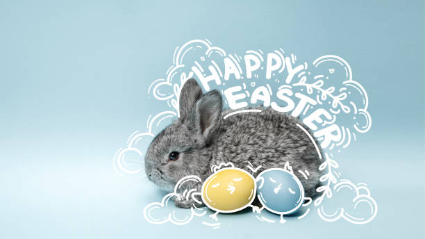 istock Creative banner related to Easter holiday with cute bunny and colored eggs against blue background. Promotional material related to holiday celebration 2013990689