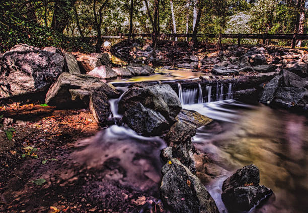 A small creek glows in the Autumn light
