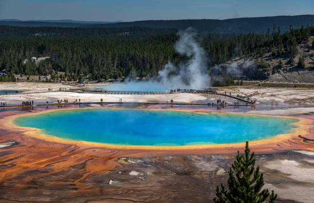 istock Grand Prismatic Spring, Yellowstone National Park Wyoming 2013991210