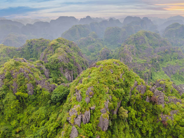 top pagoda of hang mua temple, rice fields, ninh binh, vietnam. vietnam reopens borders after quarantine coronovirus covid 19 - great dagon pagoda photos et images de collection