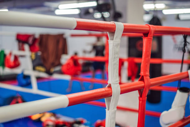 istock boxing equipment on the ropes of a boxing ring 2014028284