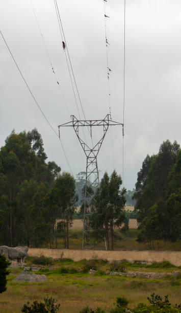 istock power lines on the country 2014055780